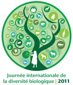 idb-2011-logo-fr-v